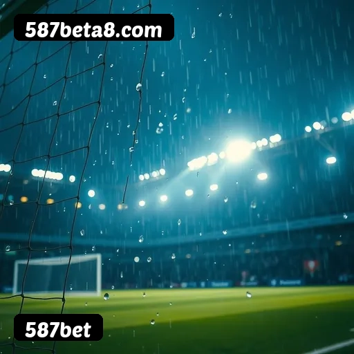 Suporte 24 horas 587bet